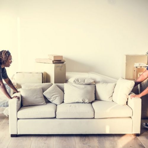 The Ultimate Renter's Guide